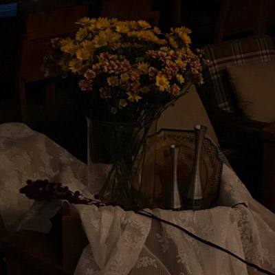 央行副行长陆磊：支持金融机构在“一带一路”地区绿色低碳投资